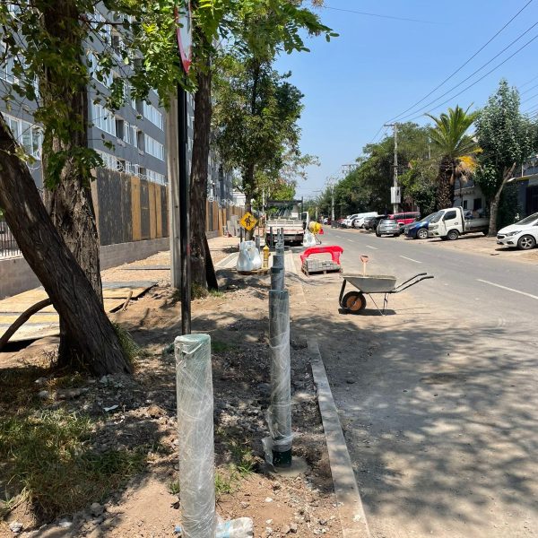 WhatsApp Image 2026-02-03 at 14.25.02